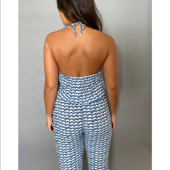 SOLD Fighting Eel Ava Sky Jumper Rio - Picture 2 of 6